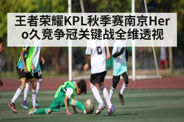 王者荣耀KPL秋季赛南京Hero久竞争冠关键战全维透视