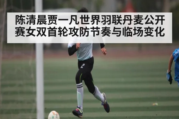 陈清晨贾一凡世界羽联丹麦公开赛女双首轮攻防节奏与临场变化