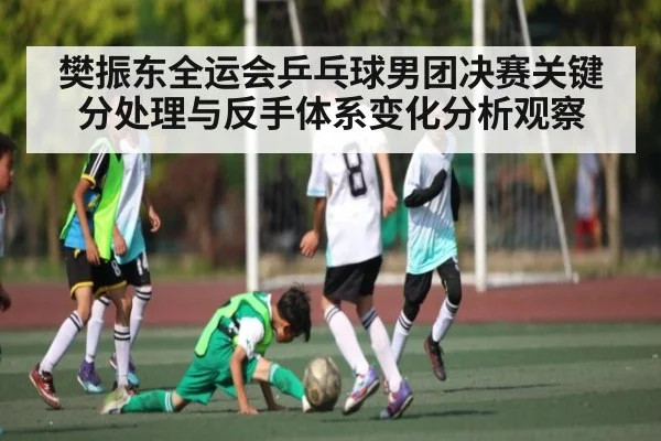 樊振东全运会乒乓球男团决赛关键分处理与反手体系变化分析观察 | kaiyun